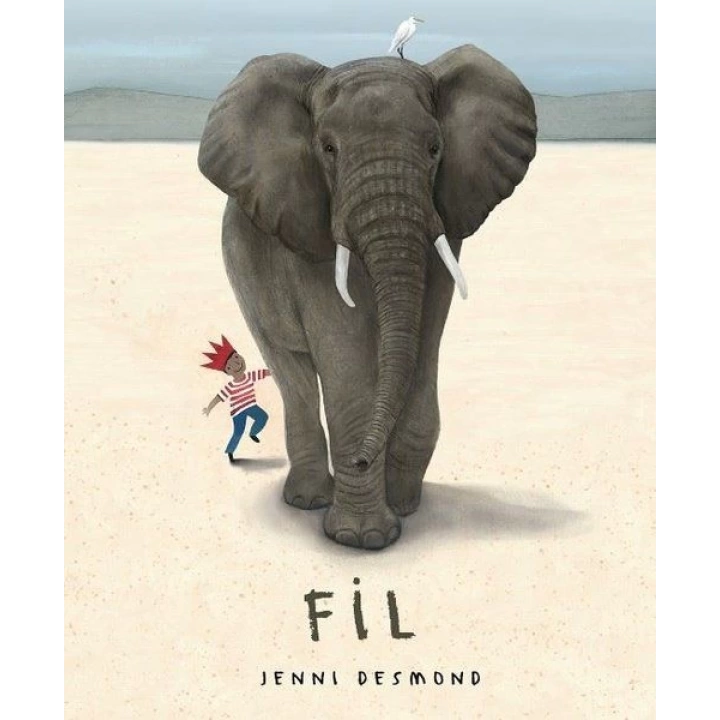 Fil - Ciltsiz