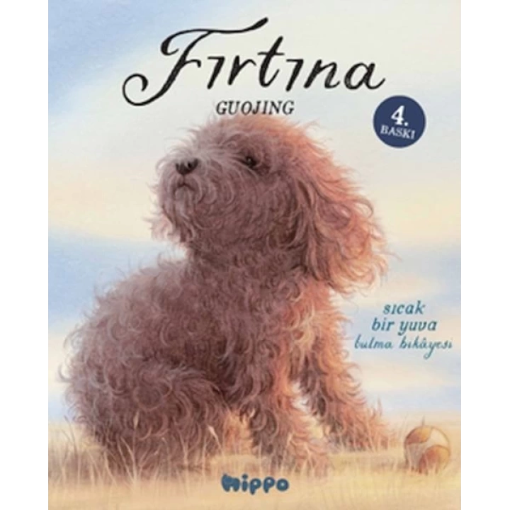 Fırtına