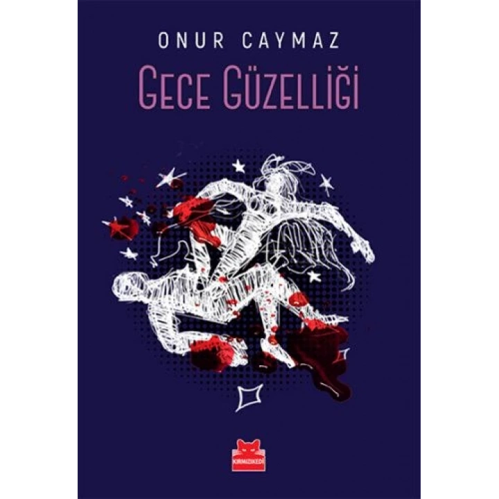 Gece Güzelliği