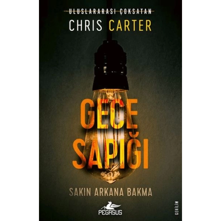 Gece Sapığı (Robert Hunter - 3)