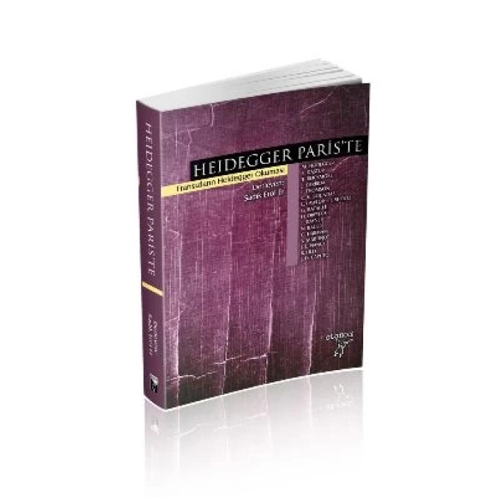 Heidegger Pariste