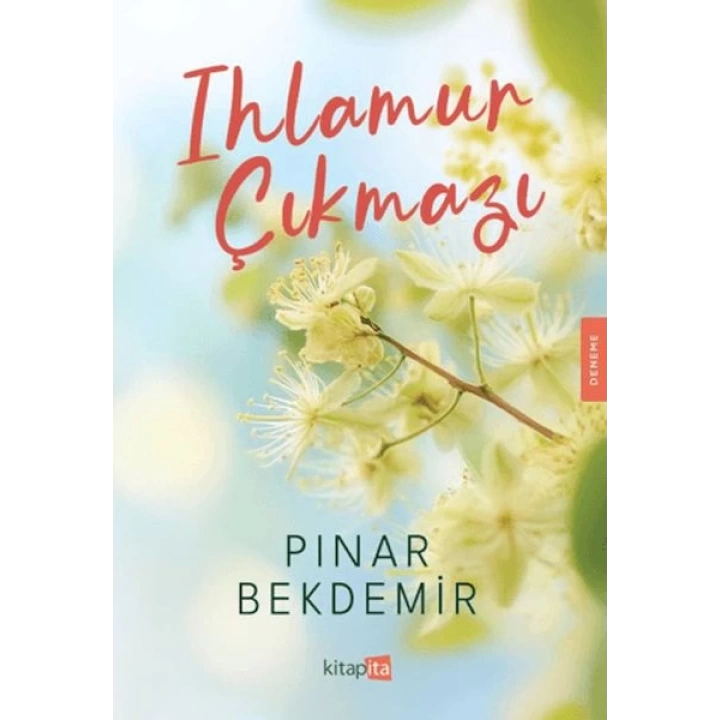 Ihlamur Çıkmazı