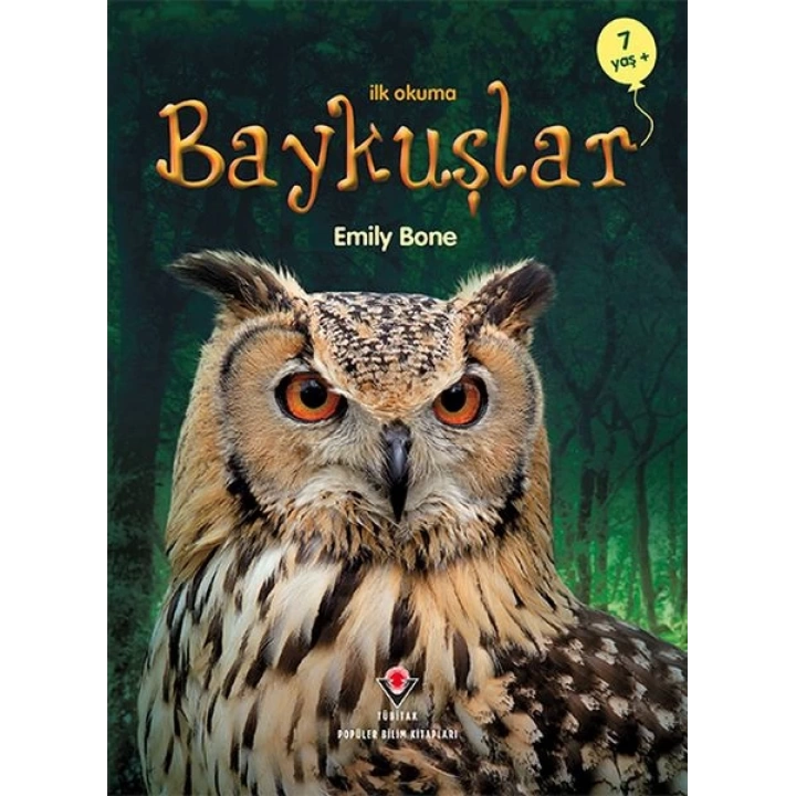 İlk Okuma - Baykuşlar