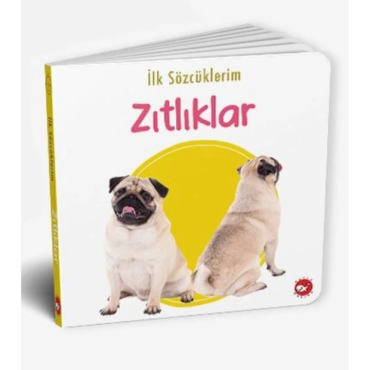 İlk Sözcüklerim - Zıtlıklar