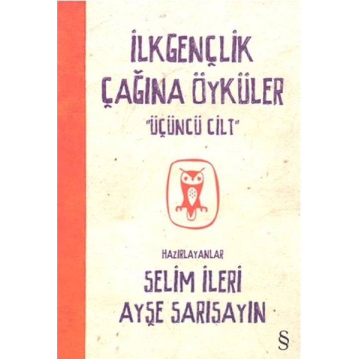 İlkgençlik Çağına Öyküler - 3. Cilt