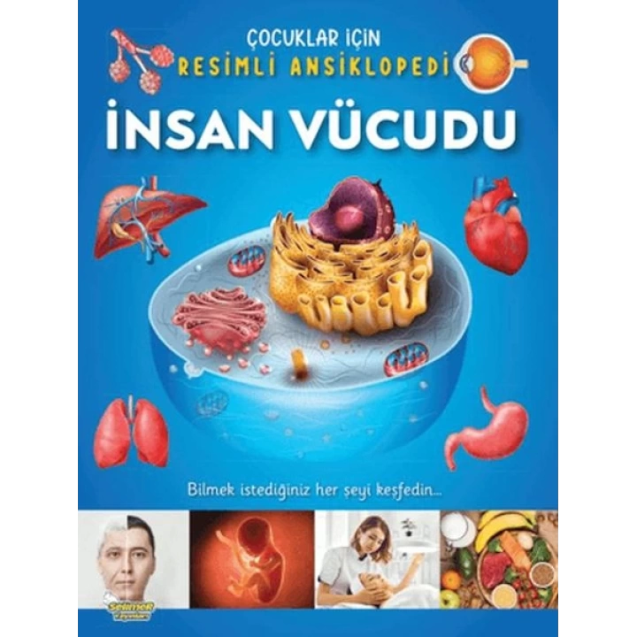 İnsan Vücudu - Çocuklar İçin Resimli Ansiklopedi
