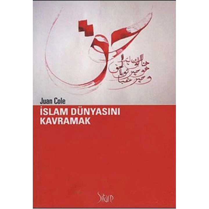 İslam Dünyasını Kavramak