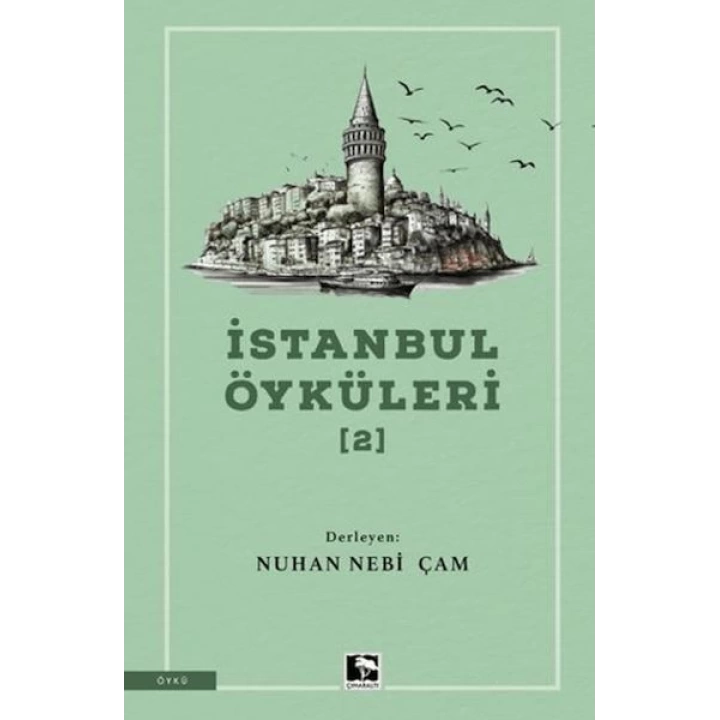 İstanbul Öyküleri 2