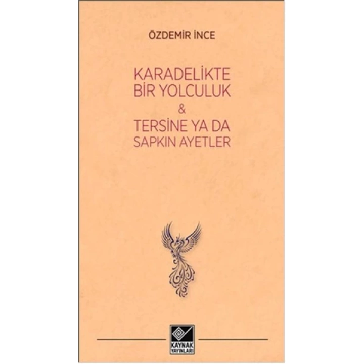 Kara Delikte Bir Yolculuk ve Tersine ya da Sapkın Ayetler
