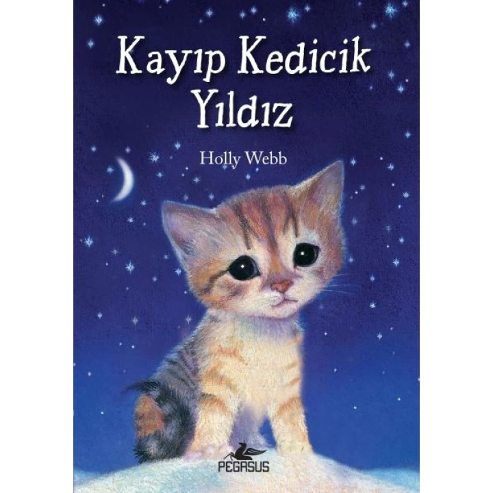 Kayıp Kedicik Yıldız