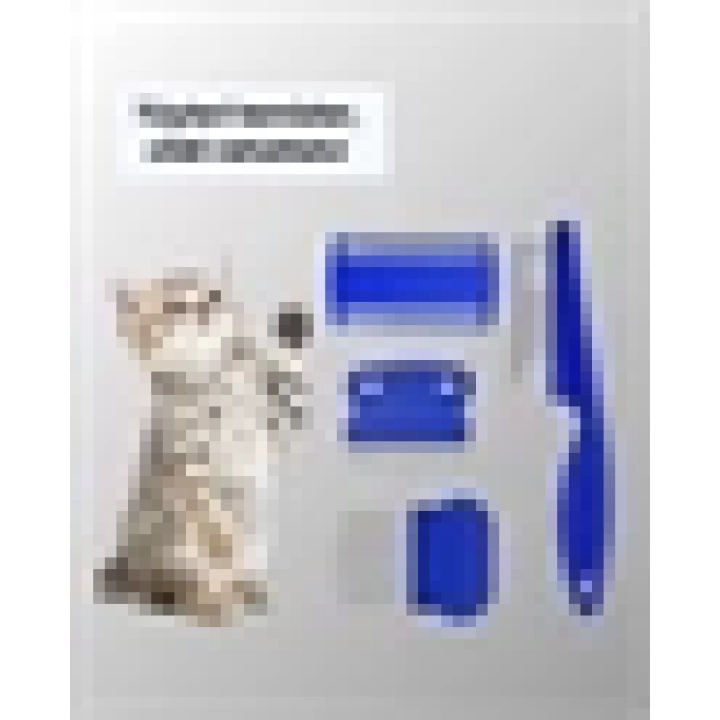 Kedi, Köpek ve Küçük Hayvanlar İçin 4 Parça Ergonomik Tarak Takımı