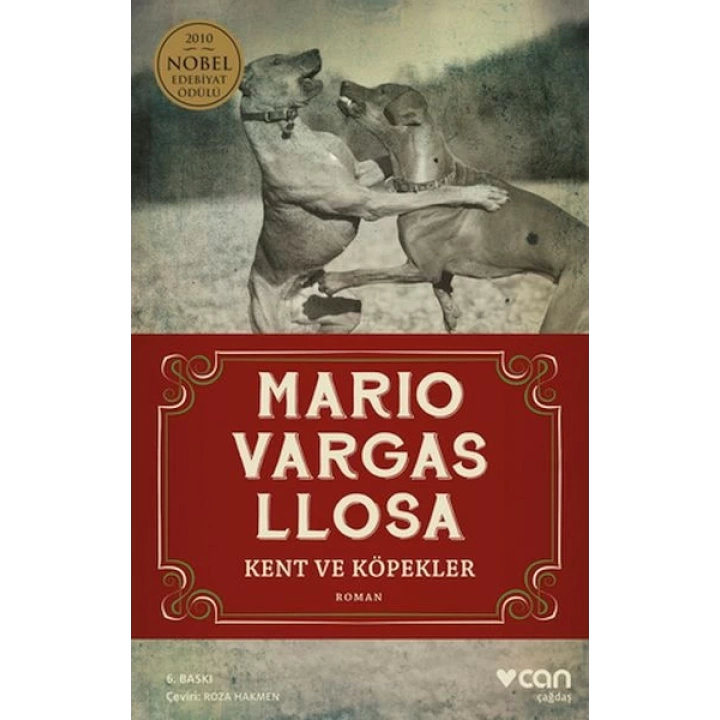 Kent ve Köpekler