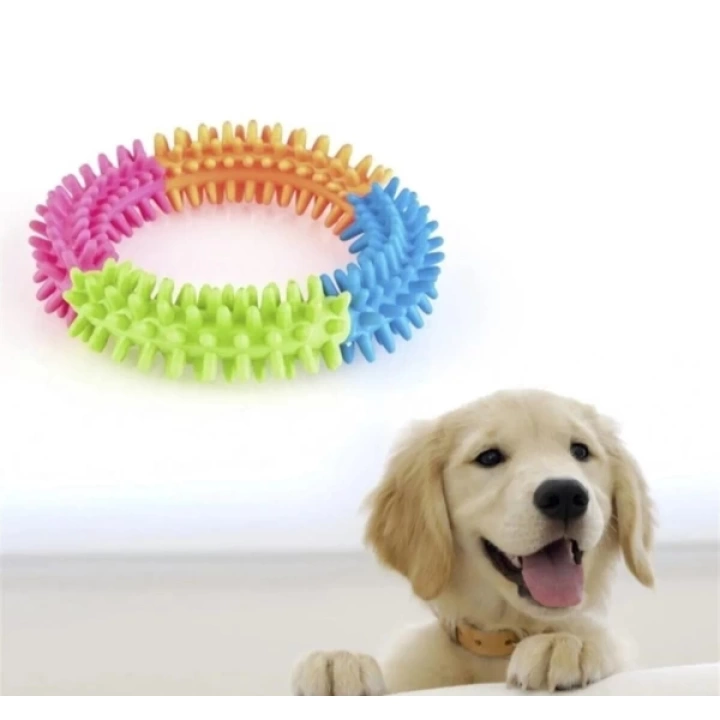 Köpek Isırma Diş Kaşıma Çemberi