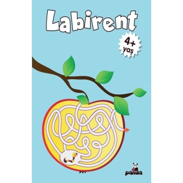 Labirent 4 Yaş