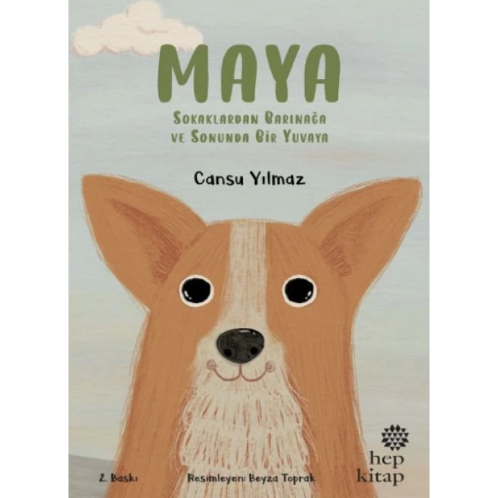 Maya - Sokaklardan Barınağa ve Sonunda Bir Yuvaya