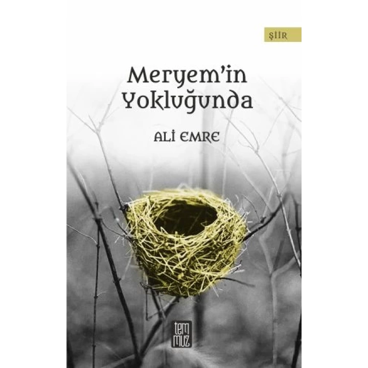 Meryemin Yokluğunda