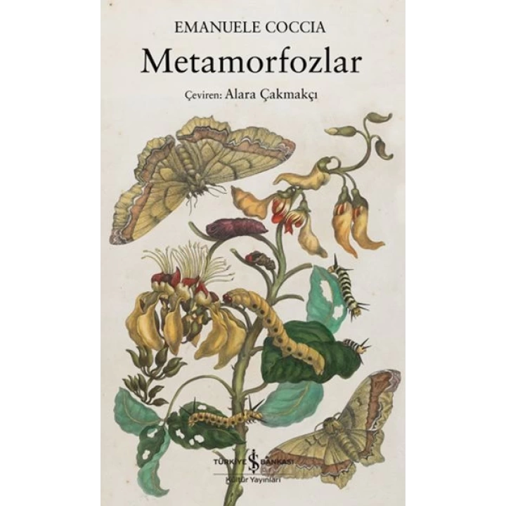 Metamorfozlar