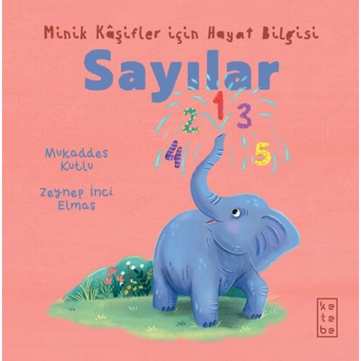 Minik Kâşifler için Hayat Bilgisi - Sayılar