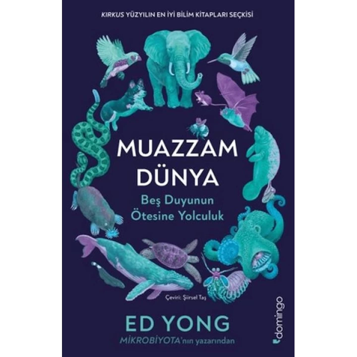 Muazzam Dünya: Beş Duyunun Ötesine Yolculuk