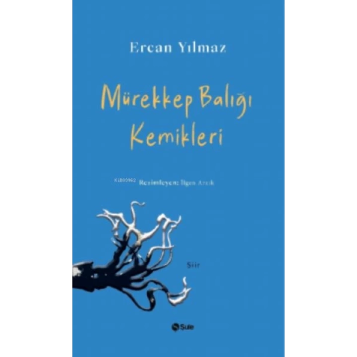 Mürekkep Balığı Kemikleri