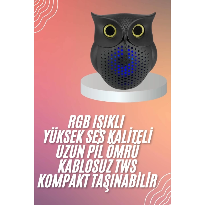 Müzik Çalar Bluetooth Hoparlör Speaker 5.0 Kablosuz Baykuş Görünümlü