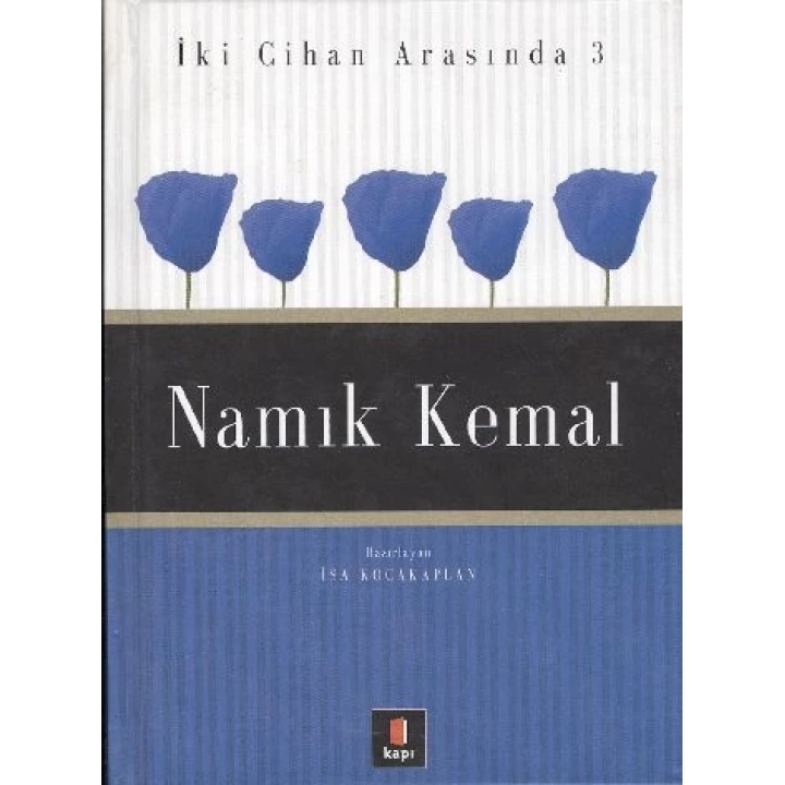 Namık Kemal İki Cihan Arasında 3