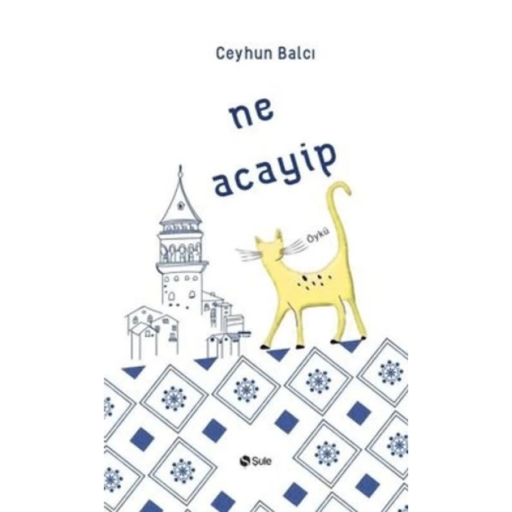 Ne Acayip