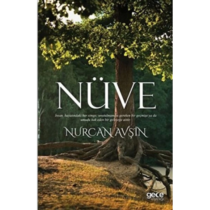 Nüve