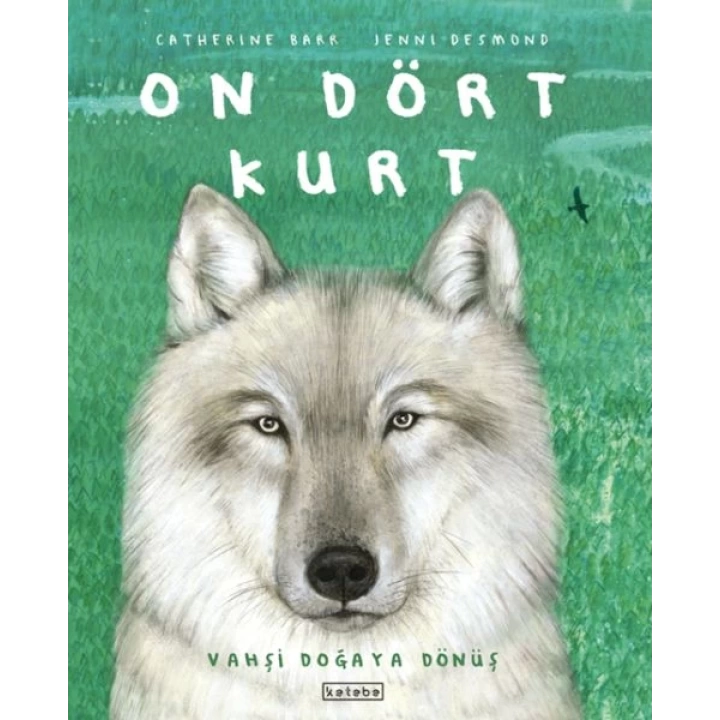 On Dört Kurt