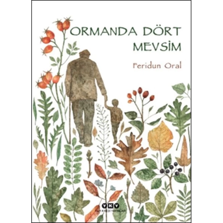 Ormanda Dört Mevsim