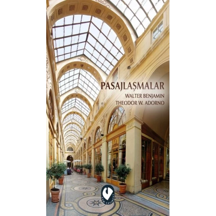 Pasajlaşmalar
