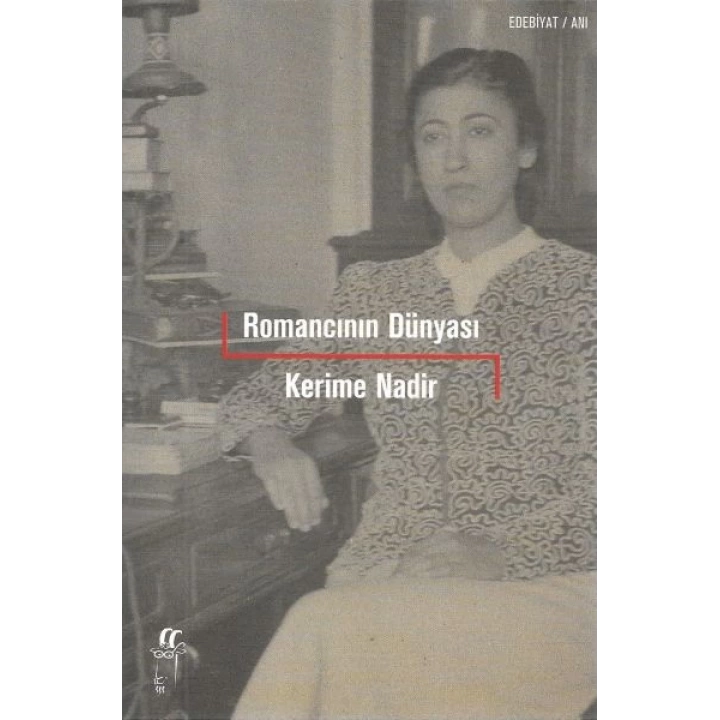 Romancının Dünyası