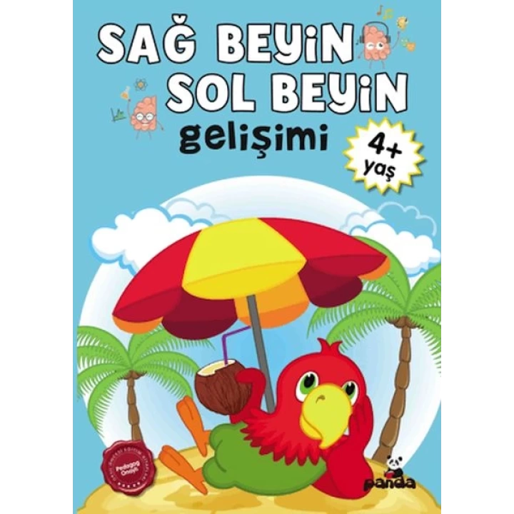Sağ Beyin-Sol Beyin Gelişimi 4+ Yaş    