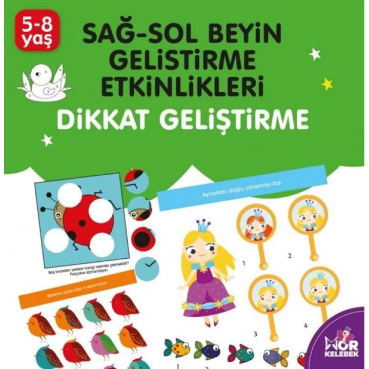 Sağ-Sol Beyin Geliştirme Etkinlikleri -  Dikkat Geliştirme