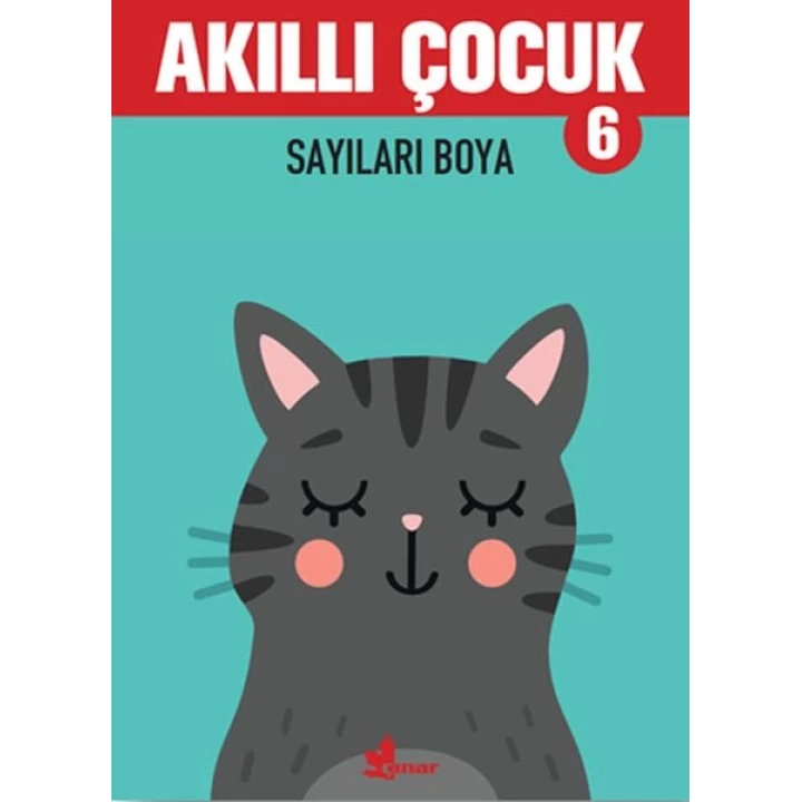 Sayıları Boya - Akıllı Çocuk 6