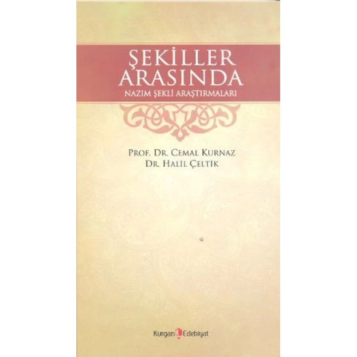 Şekiller Arasında Nazım Şekli Araştırmaları