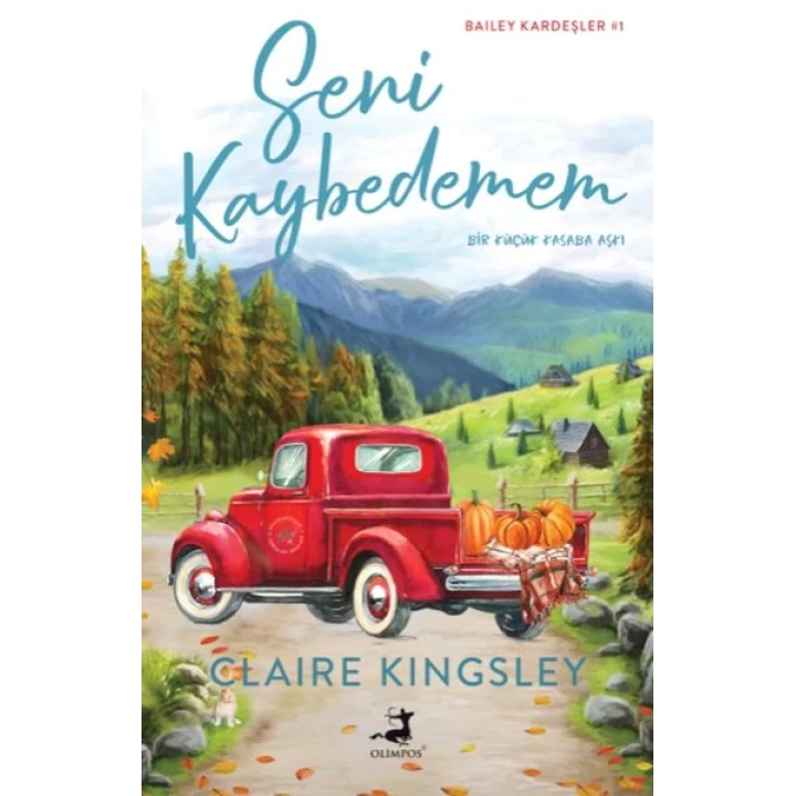 Seni Kaybedemem
