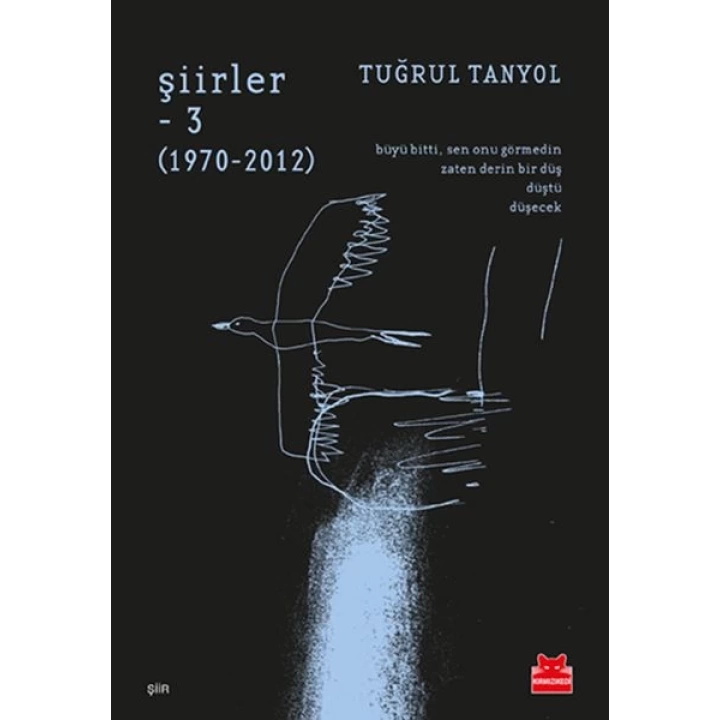 Şiirler - 3 (1970-2012)
