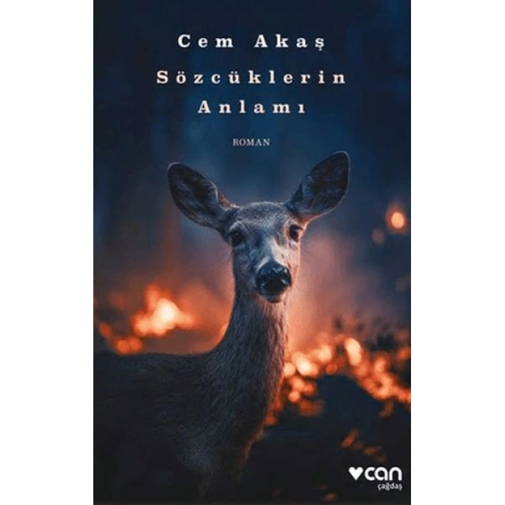 Sözcüklerin Anlamı