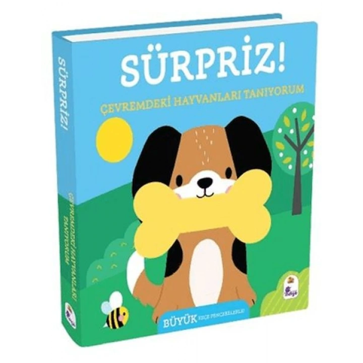 Sürpriz! - Çevremdeki Hayvanları Tanıyorum