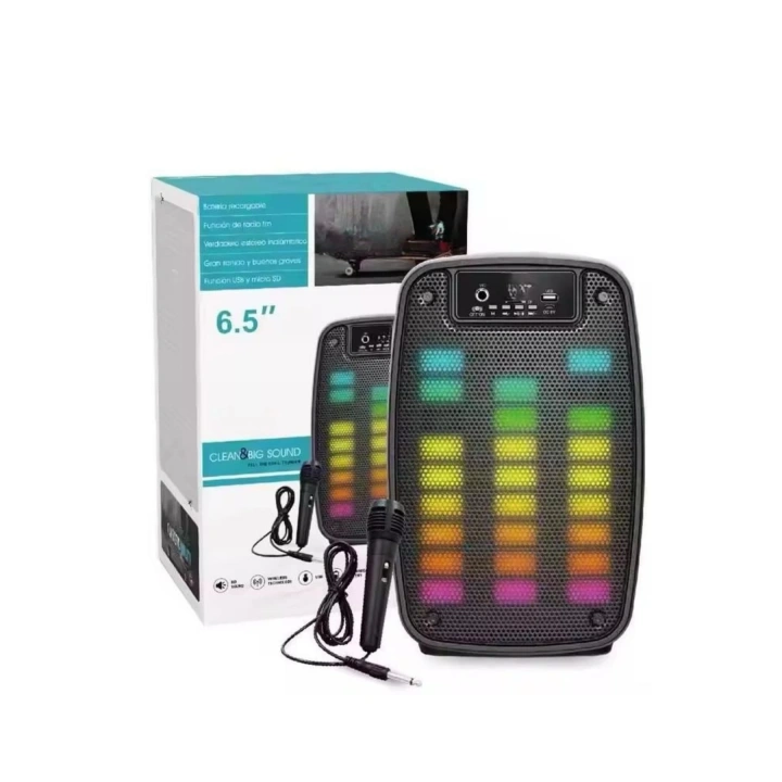 Taşınabilir 6.5 inç LED Bluetooth Kareoke Hoparlör RGB Işıklı Radyolu