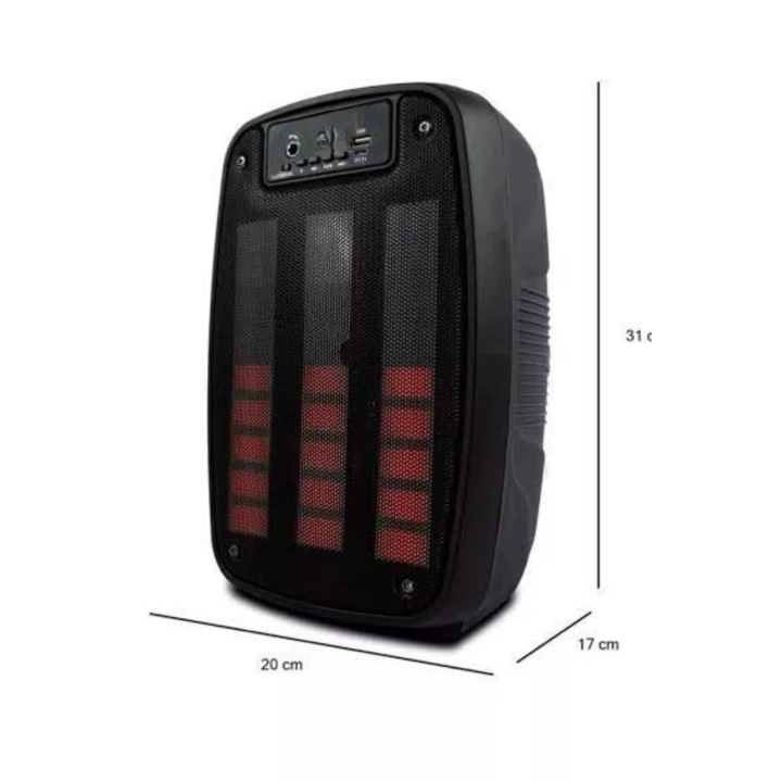 Taşınabilir 6.5 inç LED Bluetooth Kareoke Hoparlör RGB Işıklı Radyolu