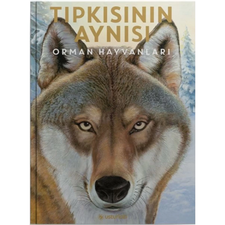 Tıpkısının Aynısı