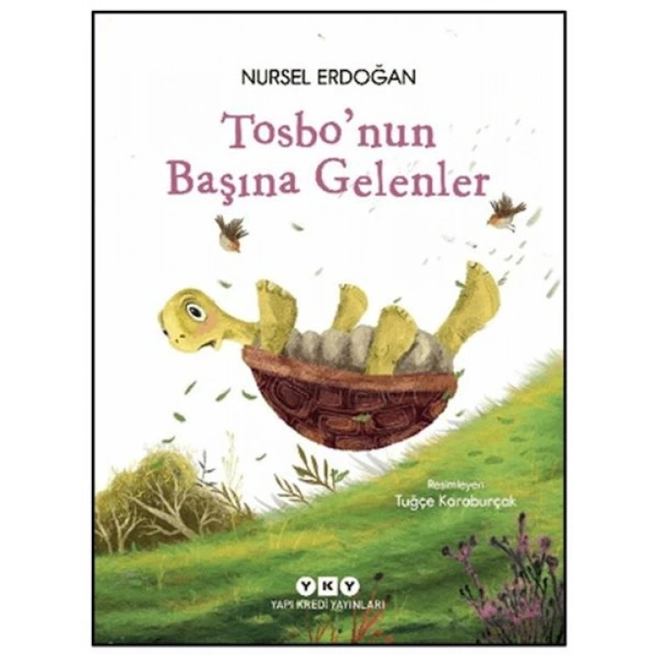Tosbonun Başına Gelenler
