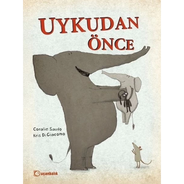 Uykudan Önce