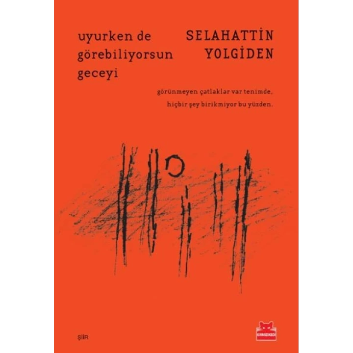 Uyurken de Görebiliyorsun Geceyi