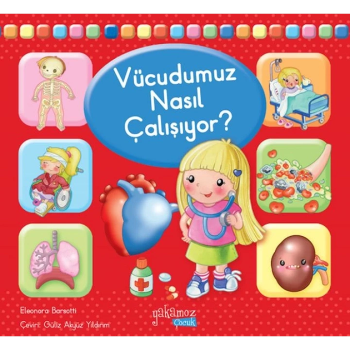 Vücudumuz Nasıl Çalışıyor?
