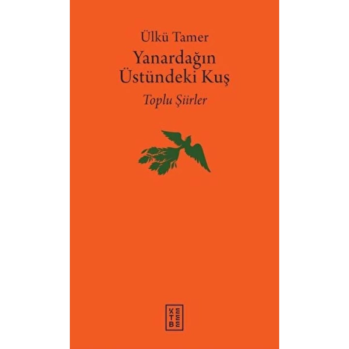 Yanardağın Üstündeki Kuş