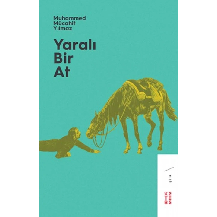 Yaralı Bir At