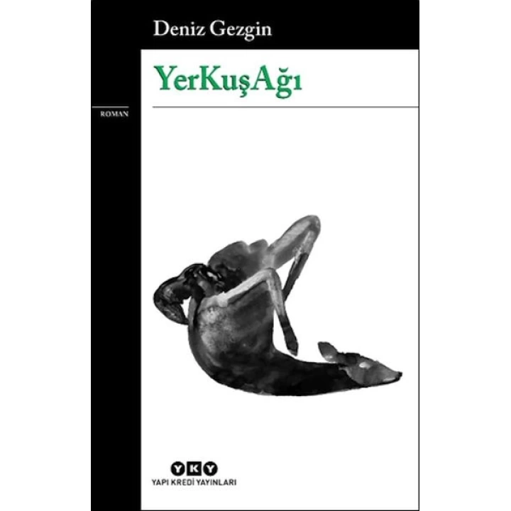 YerKuşAğı